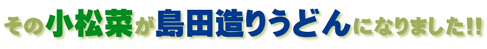 その小松菜が島田造りうどんになりました